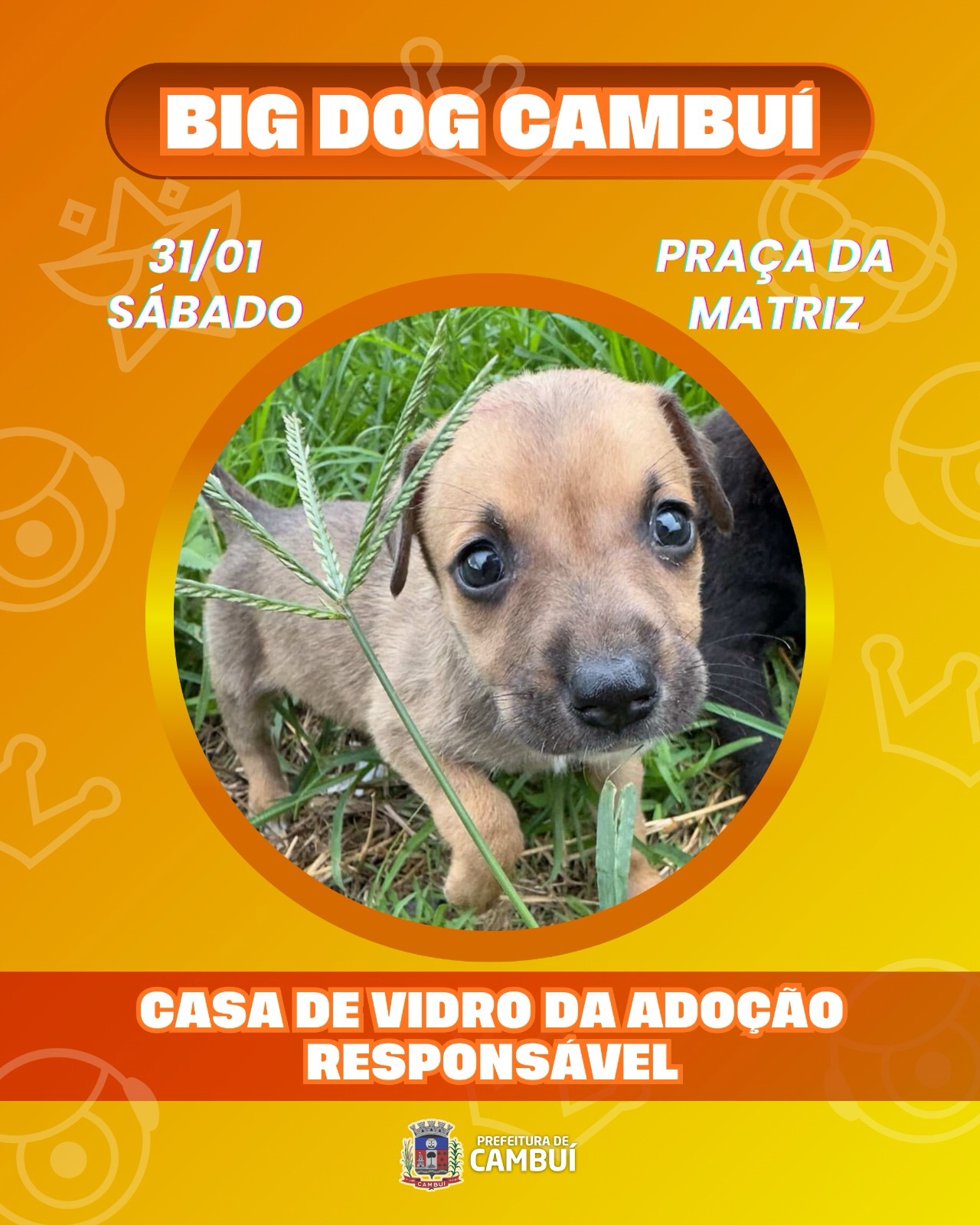 Post do instagram da Prefeitura de Mandirituba