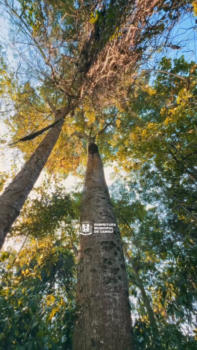 Post do instagram da Prefeitura de Mandirituba